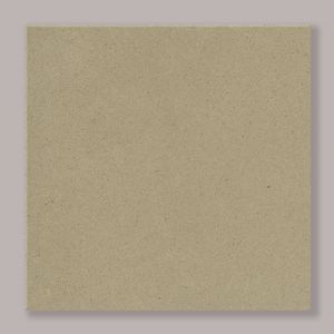 Concrete Finish - Palomino