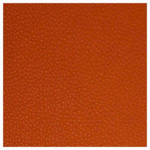 Leather - Squash